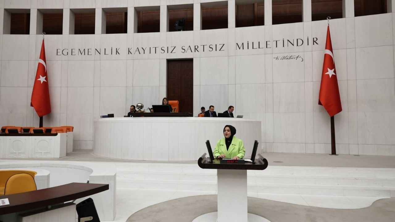 Denizli Vekili Mecliste Dikkat Çekti