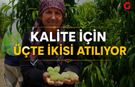 Çivril’de Şeftali Üreticisinin Zorlu Mesaisi Başladı