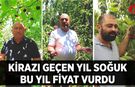 Kirazı Geçen Yıl Soğuk, Bu Yıl Fiyat Vurdu