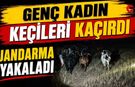 Derede Kaybolan Keçiler Jandarmanın Desteğiyle Bulundu