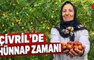 Denizli’nin Hünnap Deposu Çivril'de Hasat Mesaisi