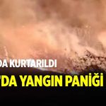 Işıklı’da yangın paniği: Alevlerin arasında kalan at ekipler tarafından kurtarıldı