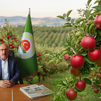 GÜNDEM
