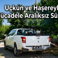 GÜNDEM