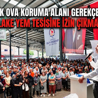 GÜNDEM