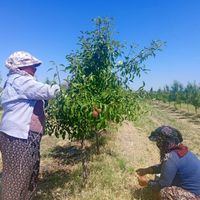YAŞAM