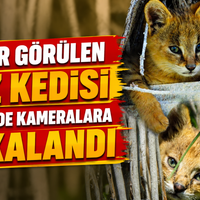GÜNDEM