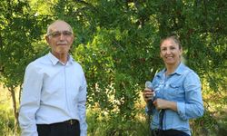 ÇİVRİL’DE HÜNNAP ZAMANI