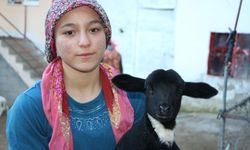 DÜNYA İKİNCİSİ KUZULARLA