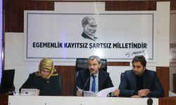 YAZICI,  “TEK KİŞİYE YETKİ VERMEK TEHLİKELİDİR”