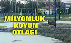 YATIRIMLAR ÇÜRÜMEYE TERK EDİLİYOR