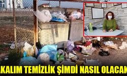 BAKALIM TEMİZLİK ŞİMDİ NASIL OLACAK?