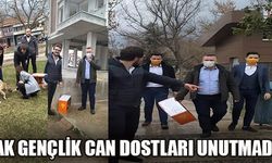 AK GENÇLİK CAN DOSTLARI UNUTMADI