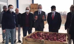 SANCAR DESTEK İÇİN 1 TON ELMA ALDI