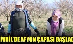 ÇİVRİL’DE AFYON ÇAPASI BAŞLADI