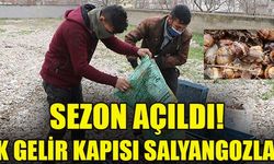 Salyangozlar, Çivril’de İlkbaharın gelmesi ve yağışların başlamasıyla vatandaşlar