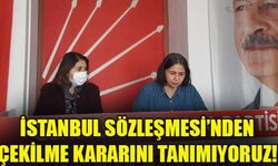 Cumhuriyet Halk Partisi(CHP) Kadın Kolları Yönetim Kurulu üyeleri, Türkiye’nin İstanbul