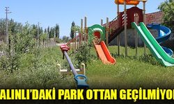 Çivril’in Yalınlı Mahallesi’nde bulunan park mahalle sakinlerini isyan ettiriyor. Parkın