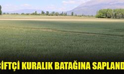 Pandemi nedeniyle güçlükle ayakta duran çiftçiye son darbeyi kuraklık vurdu. Yağışlar son