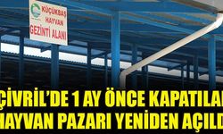 Çivril’de bir mahallede şap hastalığının tespit edilmesinin ardından kapatılan Çivril