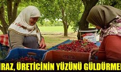 Çivril’de kiraz hasadı başladı. Son yağan yağışların kirazlarda çatlatmaya neden