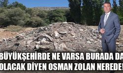 Cumhuriyet Halk Partisi(CHP) Belediye Meclis Üyesi Nuri Özen, Gürpınar Mesirelik alanının