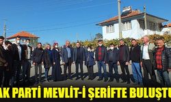 AK Parti Çivril İlçe Teşkilat Başkanı Mehmet Çoşgun vefat eden annesi Ganimet Çoşgun