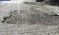 ŞEHRİN İÇİ KÖSTEBEK YUVASI GİBİ