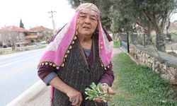 ÇİVRİL’DE OT SEZONU BAŞLADI