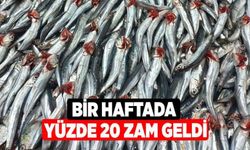 Bir Haftada Yüzde 20 Zam Geldi