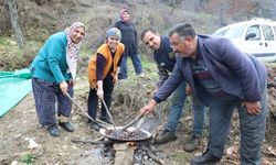 Meşhur Denizli Kestanesi Çıktı!