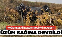 Kontrolünü Kaybetti, Üzüm Bağına Devrildi!