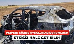 PKK'nın Sözde Aynularab Sorumlusu Etkisiz Hale Getirildi