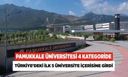 Pamukkale Üniversitesi 4 Kategoride Türkiye'deki İlk 5 Üniversite İçerisine Girdi