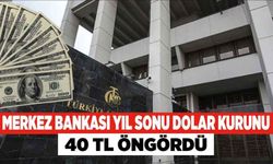 Merkez Bankası Yıl Sonu Dolar Kurunu 40 TL Öngördü