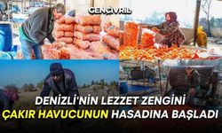 Denizli'nin Lezzet Zengini Çakır Havucunun Hasadına Başladı