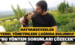 Hayvanseverler Yerel Yönetimlere Çağrıda Bulundu! “Bu Yöntem Sorunları Çözecek”