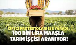 100 Bin Lira Maaşla Tarım İşçisi Aranıyor!