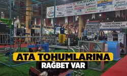 Ata Tohumlarına Rağbet Var