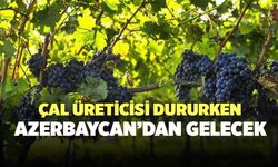 Çal Üreticisi Dururken Azerbaycan’dan gelecek