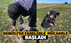 Denizli'de Farelerle Mücadele Başladı