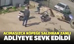 Acımasızca Köpeğe Saldıran Zanlı Adliyeye Sevk Edildi