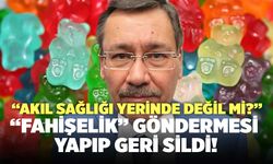 “Akıl Sağlığı Yerinde Değil Mi?” Gökçek, X’te Berna Laçin’e "Fahişelik" Göndermesi Yapıp Geri Sildi!