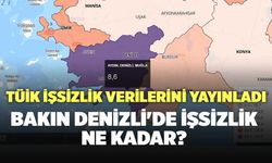 TÜİK İşsizlik Verilerini Yayınladı Bakın Denizli'de işsizlik Ne Kadar?