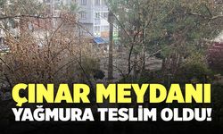 Çınar Meydanı Yağmura Teslim Oldu!