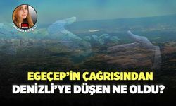 EGEÇEP’in Çağrısından Denizli’ye Düşen Ne Oldu?