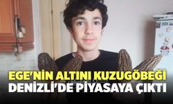 Ege'nin Altını Kuzugöbeği Denizli'de Piyasaya Çıktı