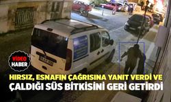 Hırsız, Esnafın Çağrısına Yanıt Verdi ve Çaldığı Süs Bitkisini Geri Getirdi