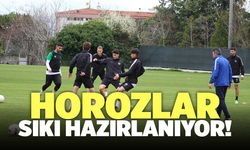 Horozlar Sıkı Hazırlanıyor!