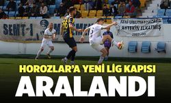 Horozlara Yeni Lig Kapısı Aralandı